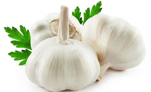 20 نصيحة ذهبية من خبراء التغذية